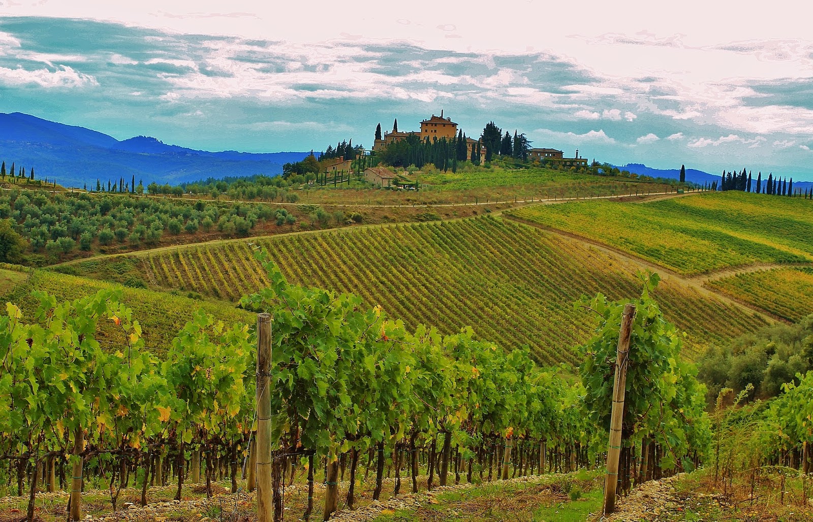 tuscany-vineyards-esclusivo