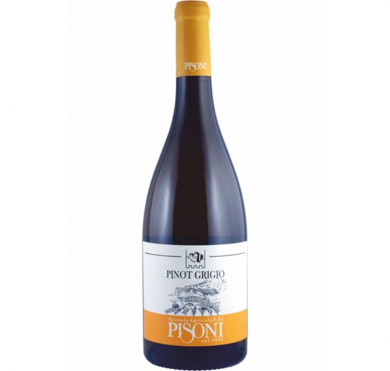 Pisoni – Pinot Grigio 2014a
